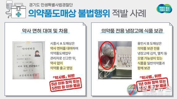 의약품도매상 불법행위 적발 사례