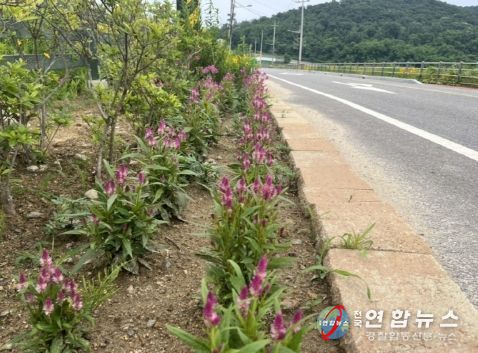 강화군 양사면 산이포공원, 여름꽃으로 새단장