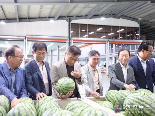 진안고원 명품 수박 본격 출하
