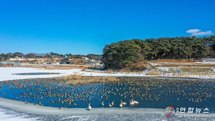 당산생태공원 전경