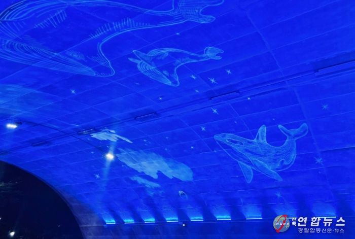 기흥구 보라동 639 생태1교 터널에 경관 조명이 설치됐다