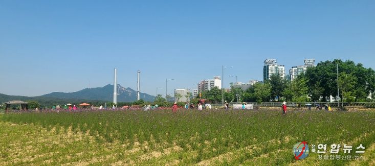 양주시 나리농원, 봄 무료개장 1.2만 명 방문…가을엔 입장료 쿠폰제 도입