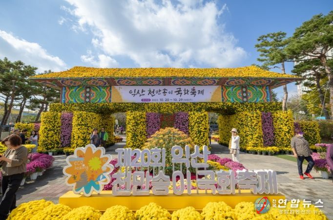 익산 천만송이 국화축제