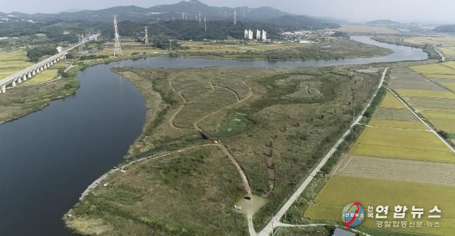 아산시 대표 생태탐방 자원(곡교천 물억새)