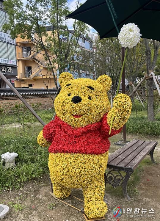 국화와 가을꽃 전시회 포토존 사진