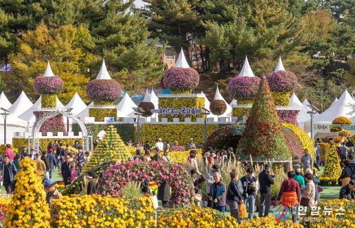 가을 정취의 절정…익산 국화축제 '76만 명' 몰렸다