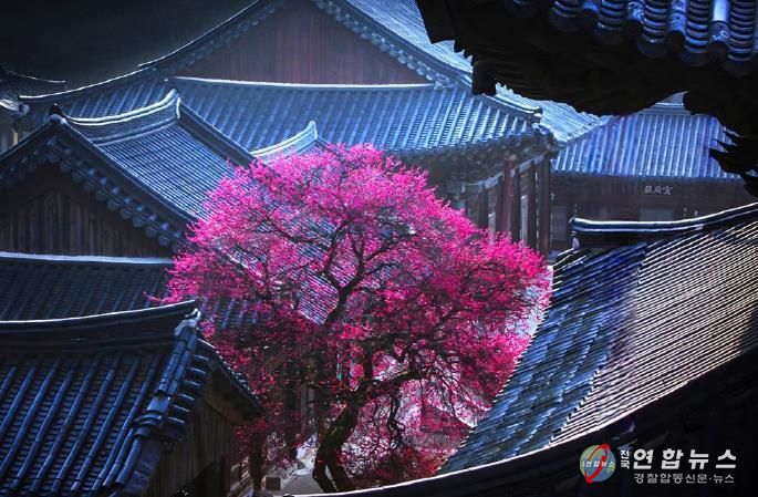 의정부시, 시민갤러리에서 제19회 (사)경기북부사진연구회 사진전 개최