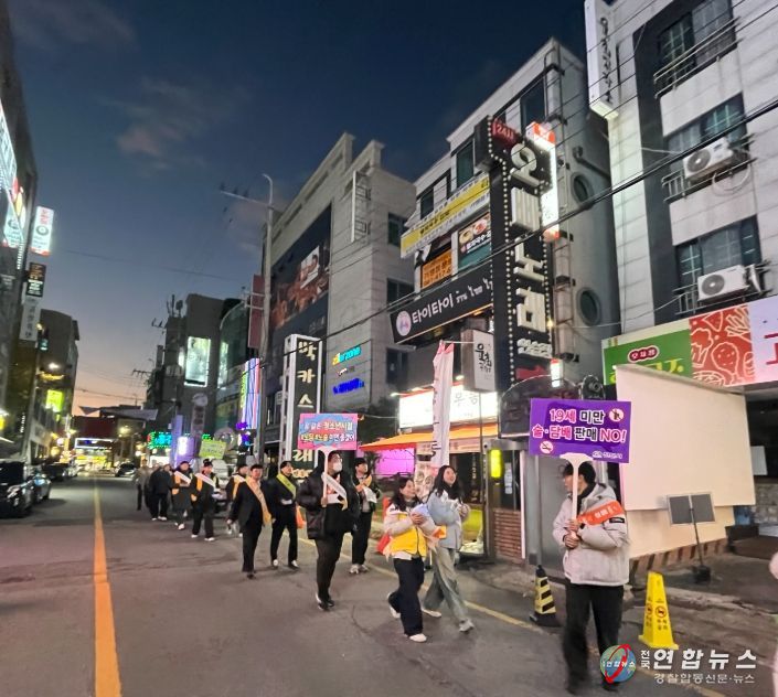 천안시는 지난 18일 두정동 먹자골목 일대에서‘청소년유해환경 개선 합동점검 및 거리 캠페인 활동’을 실시했다.