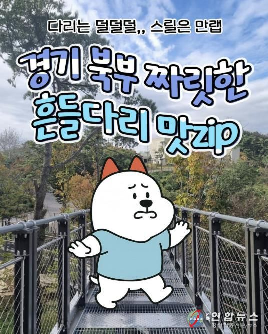 경기관광공사 DMZ 인스타그램, 대표캐릭터 누리 콘텐츠