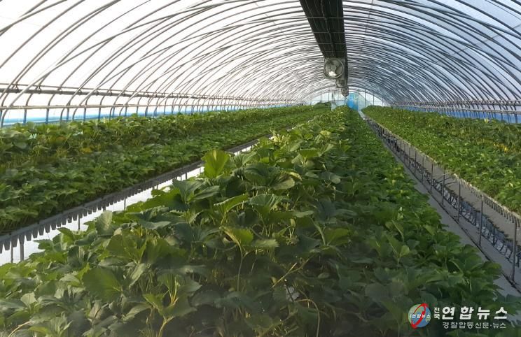 순창군, 친환경농산물 생산장려금 등 24억 8천만원 지급