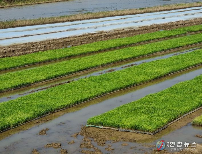 병해충 사전 차단 나선 익산시