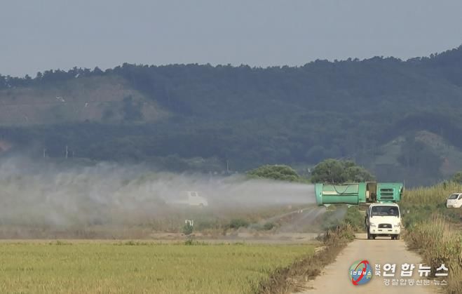 벼에 방제 약제가 살포되는 모습