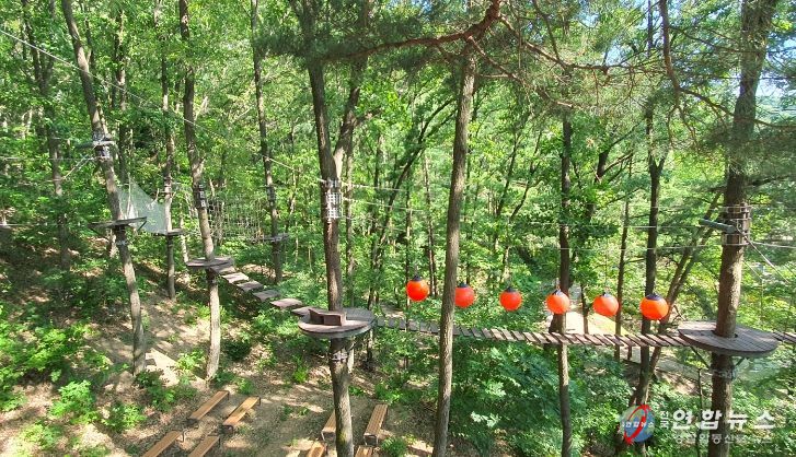 내달 태조산 산림레포츠단지 개장