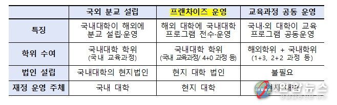 국내 대학의 해외 진출 유형