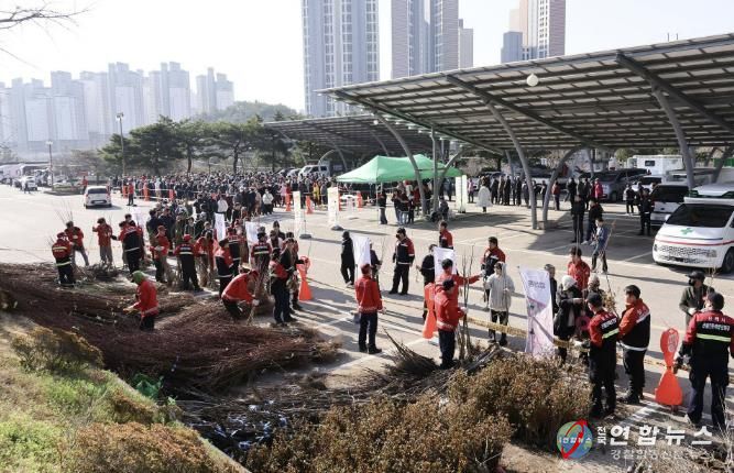 2025년 내나무 갖기 행사 사진