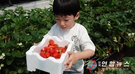 서울농장 농촌체험 프로그램