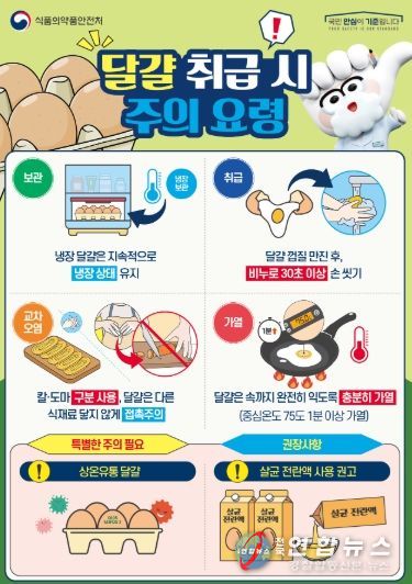 식품의약품안전처 '달걀 취급 주의 요령' 안내문.