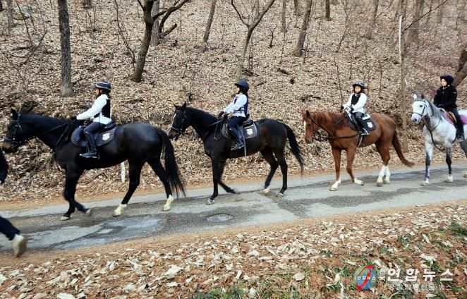 승마프로그램 진행 사진