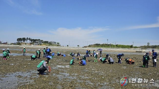 지난해 간월도 일원에서 바지락 캐기 체험을 즐기는 참여자 모습