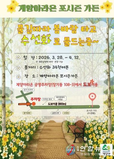 계양아라온, 수선화 개화 시작... 봄꽃 물결 본격화(포시즌가든)