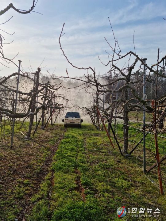 과수 화상병 예방, 사과 ․ 배 농가에 적기방제 당부