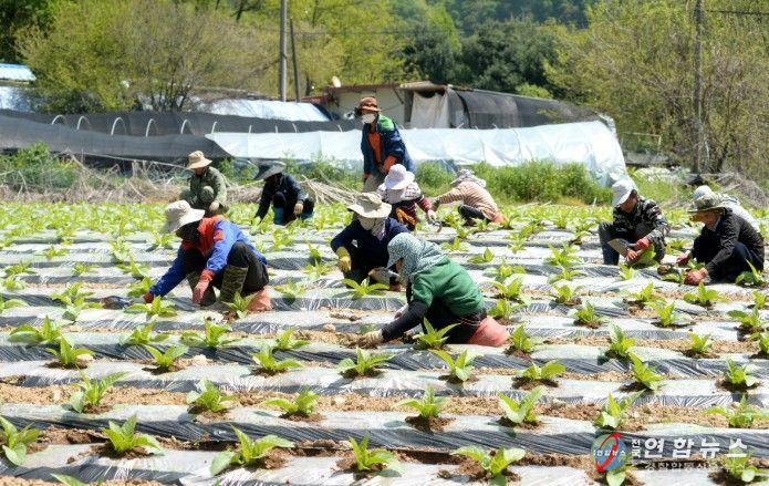 외국인 계절근로자